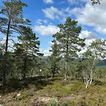 Chalé Moderne Fjellhytte Gautefall Med Utsikt Drangedal