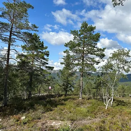 Chalet Familiehytte Pa Gautefall Naer Alpint Og Bading Drangedal