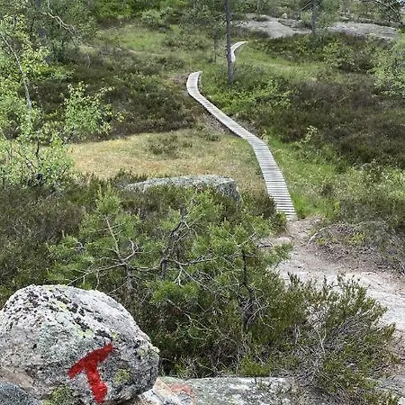 Familiehytte Pa Gautefall Naer Alpint Og Bading Chalet Drangedal