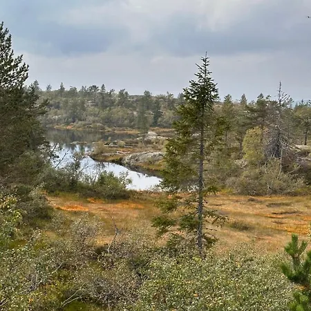 Moderne Fjellhytte Gautefall, Norge 木屋