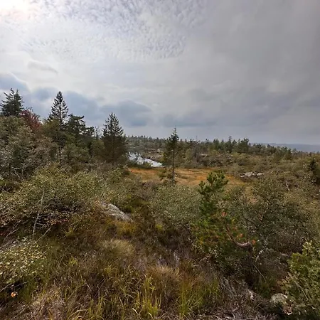 Chalet Familiehytte Pa Gautefall Naer Alpint Og Bading Drangedal