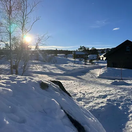 Moderne Fjellhytte Gautefall, Norge