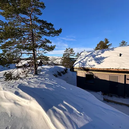 Familiehytte Pa Gautefall Naer Alpint Og Bading Drangedal