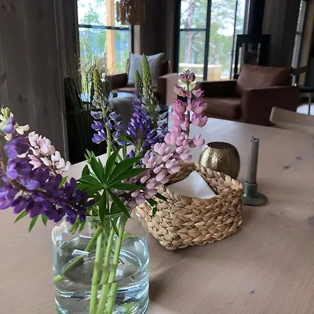 Moderne Fjellhytte Gautefall, Norge Chalet *