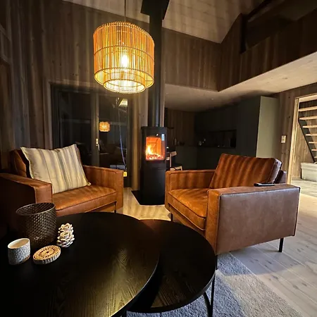 Chalet Moderne Fjellhytte Gautefall, Norge *