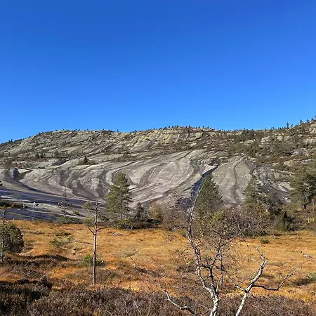 Moderne Fjellhytte Gautefall, Norge