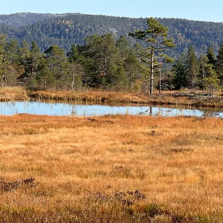 Moderne Fjellhytte Gautefall, Norge Chalet