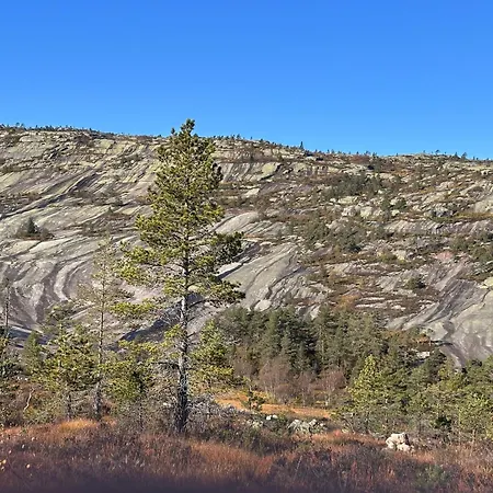 Chalet Familiehytte Pa Gautefall Naer Alpint Og Bading *