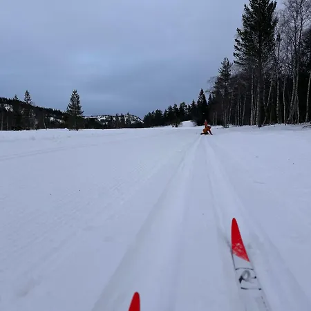 Chalet Familiehytte Pa Gautefall Naer Alpint Og Bading