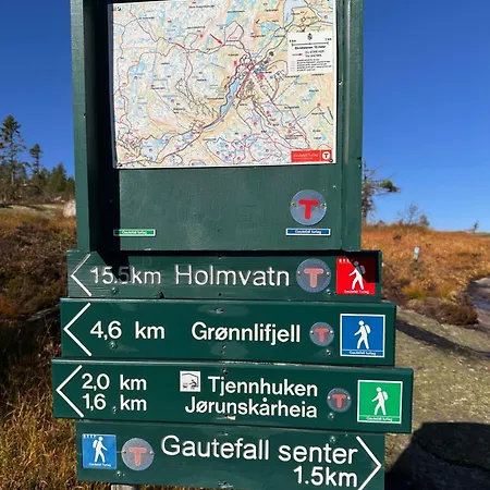 Moderne Fjellhytte Gautefall, Norge