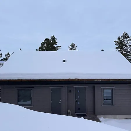 Moderne Fjellhytte Gautefall, Norge *