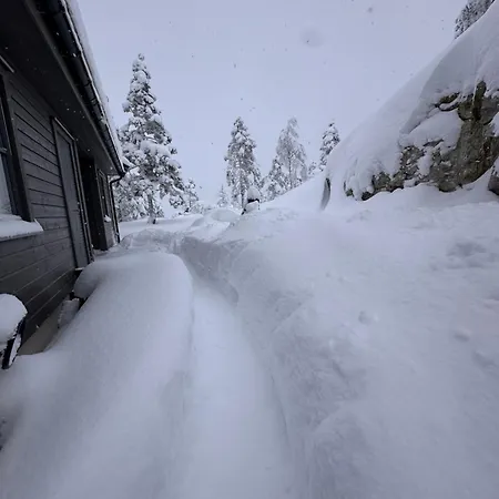 木屋 Moderne Fjellhytte Gautefall, Norge