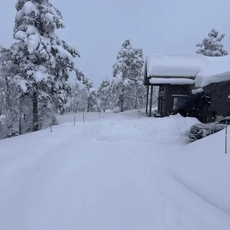 Chalet Moderne Fjellhytte Gautefall, Norge Drangedal