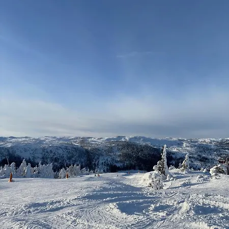Moderne Fjellhytte Gautefall, Norge Chalet *