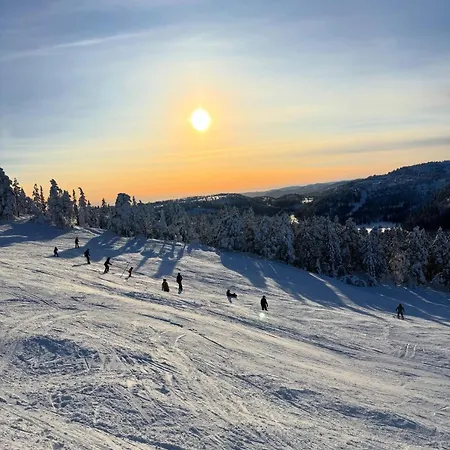 Chalet Moderne Fjellhytte Gautefall, Norge Drangedal