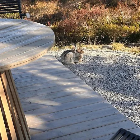 Moderne Fjellhytte Gautefall, Norge Chalet *