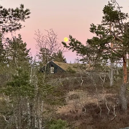 木屋 Moderne Fjellhytte Gautefall, Norge *