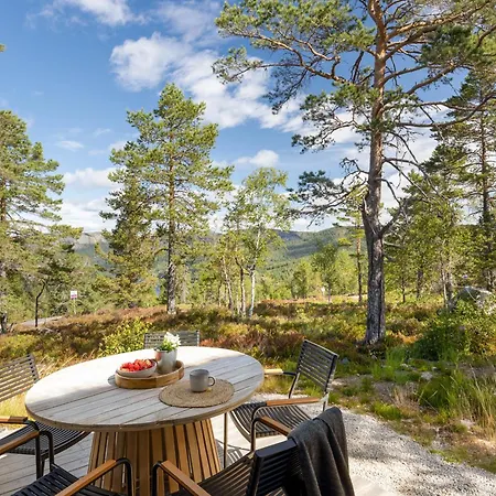 Chalet Moderne Fjellhytte Gautefall, Norge Drangedal