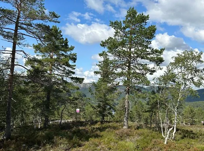 Chalé Familiehytte Pa Gautefall Naer Alpint Og Bading Drangedal