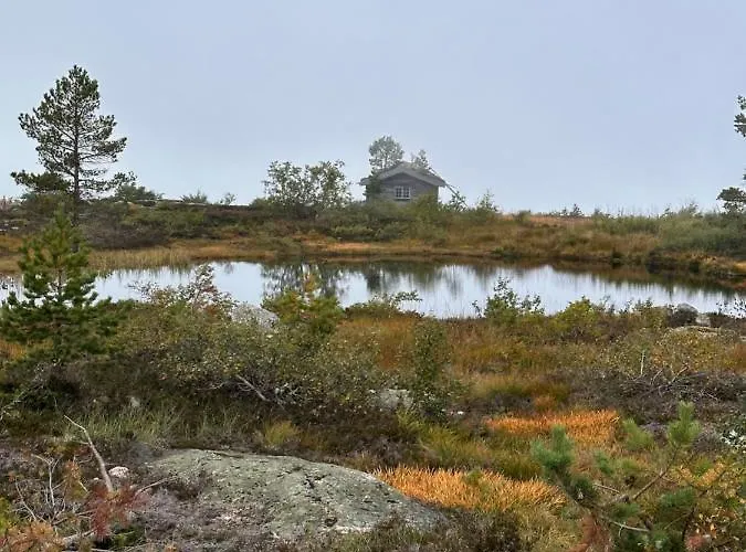 Moderne Fjellhytte Gautefall Med Utsikt Chalet