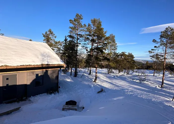Familiehytte Pa Gautefall Naer Alpint Og Bading * Drangedal
