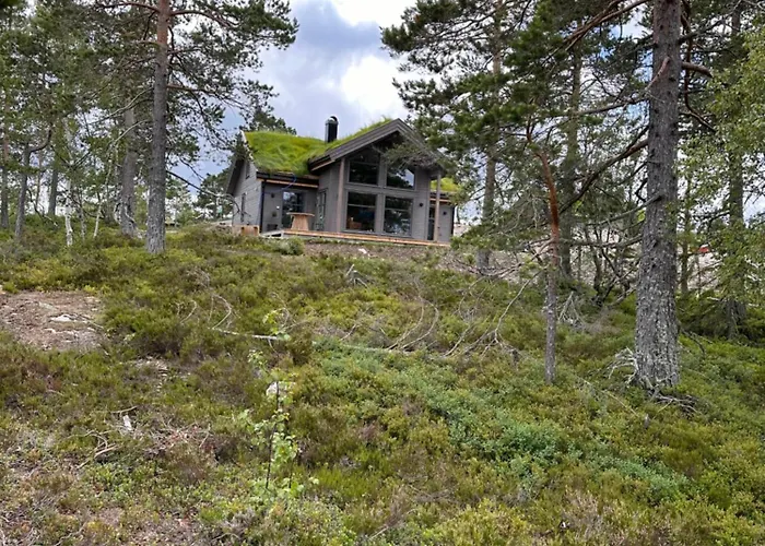 Chalé Familiehytte Pa Gautefall Naer Alpint Og Bading Drangedal