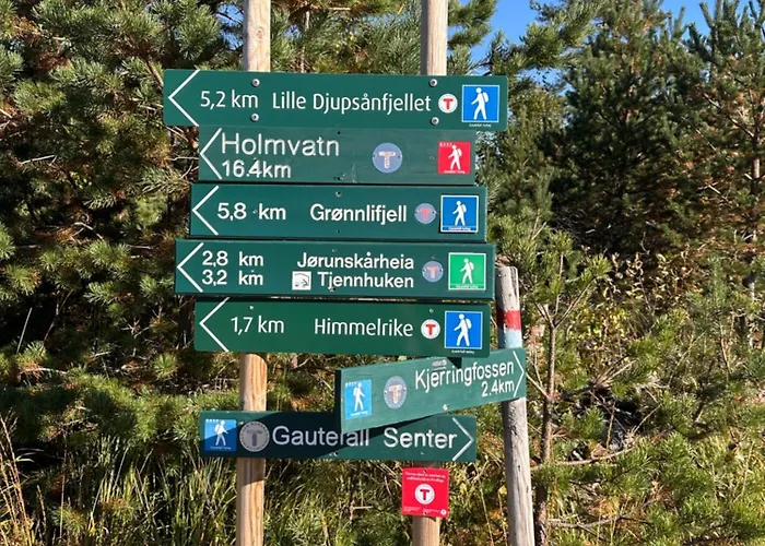 Moderne Fjellhytte Gautefall Med Utsikt * Drangedal