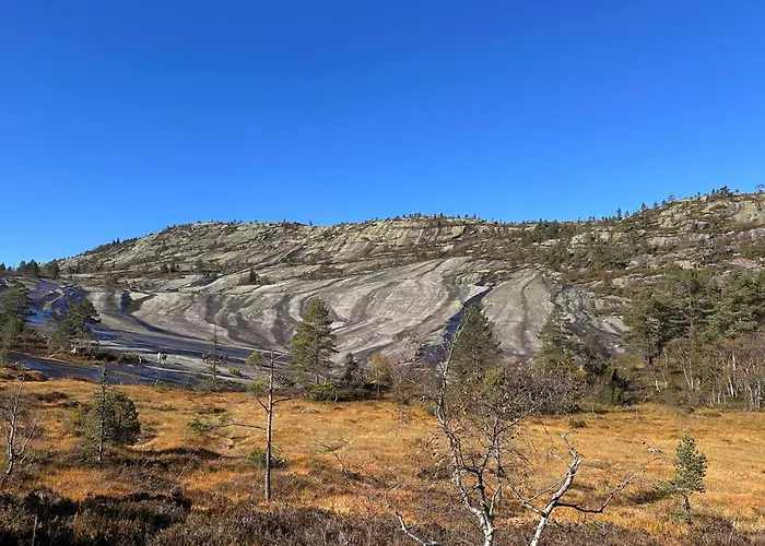Moderne Fjellhytte Gautefall Med Utsikt