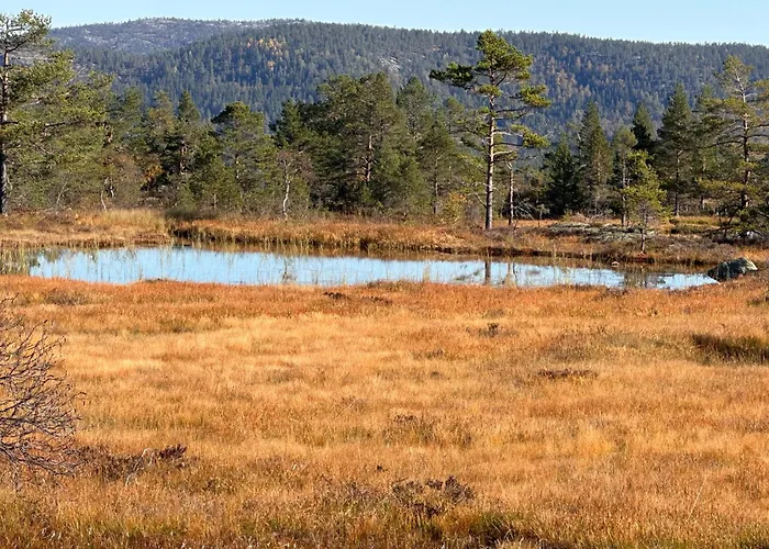 Moderne Fjellhytte Gautefall Med Utsikt Alpstuga