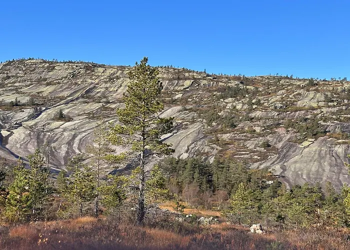 Chalet Familiehytte Pa Gautefall Naer Alpint Og Bading *