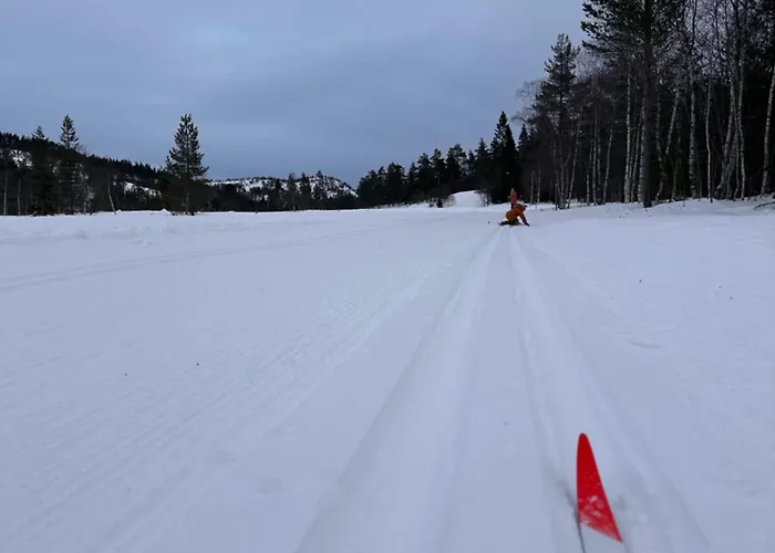 Chalé Familiehytte Pa Gautefall Naer Alpint Og Bading