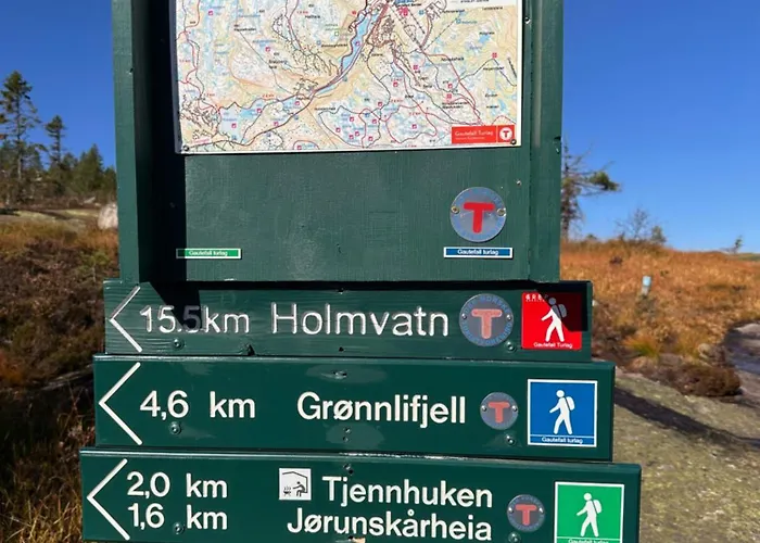 Moderne Fjellhytte Gautefall Med Utsikt