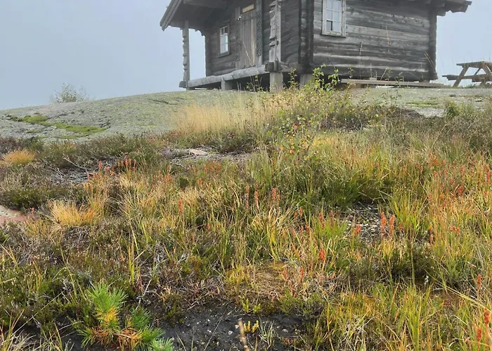 Alpstuga Moderne Fjellhytte Gautefall Med Utsikt *