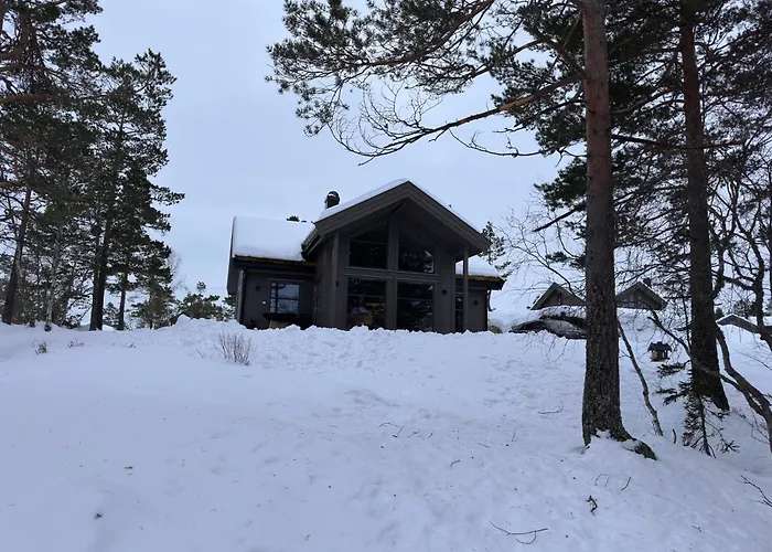 Moderne Fjellhytte Gautefall Med Utsikt