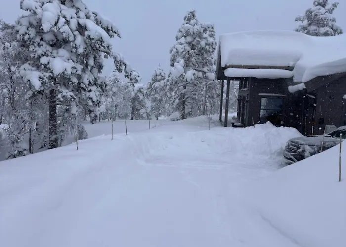 Chalé Familiehytte Pa Gautefall Naer Alpint Og Bading Drangedal