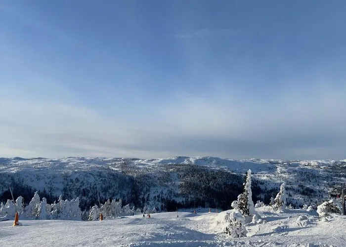 Moderne Fjellhytte Gautefall Med Utsikt Alpstuga *