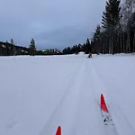 Chalet Moderne Fjellhytte Gautefall Med Utsikt