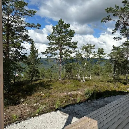 Modern Northern Lights * Drangedal