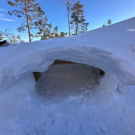 Modern Northern Lights Chalet Drangedal