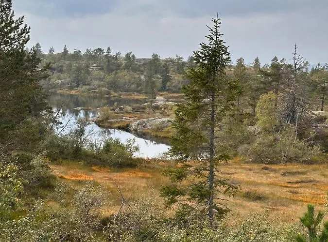 Familiehytte Pa Gautefall Naer Alpint Og Bading Chalé