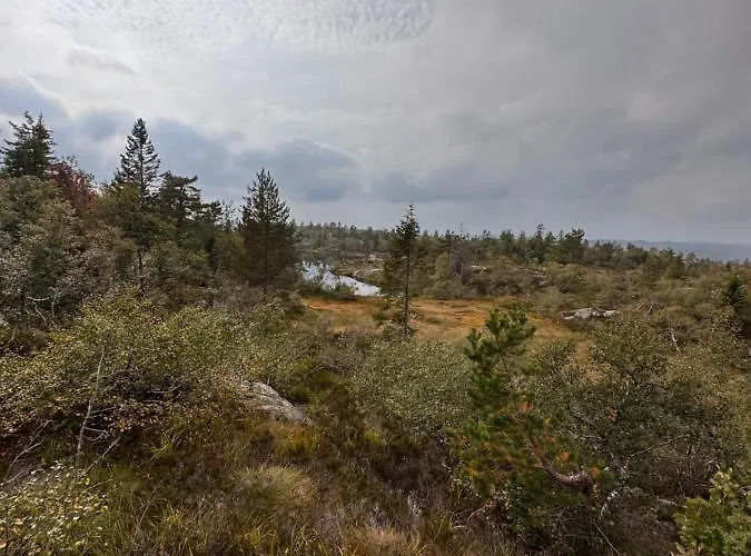 Chalet Familiehytte Pa Gautefall Naer Alpint Og Bading Drangedal