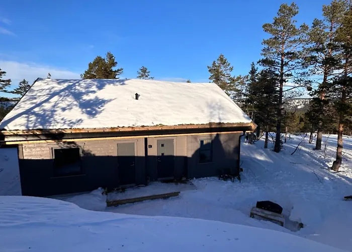 Chalé Familiehytte Pa Gautefall Naer Alpint Og Bading Drangedal