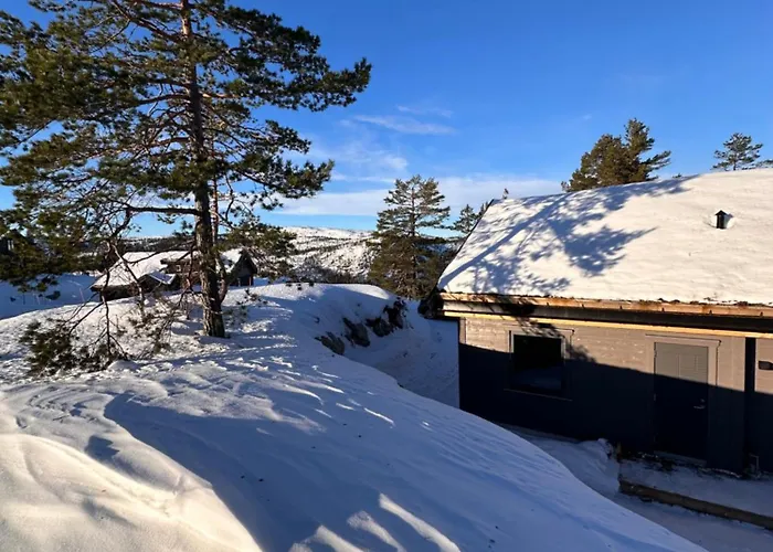 Familiehytte Pa Gautefall Naer Alpint Og Bading Drangedal