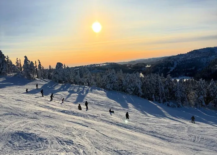 Chalé Familiehytte Pa Gautefall Naer Alpint Og Bading Drangedal